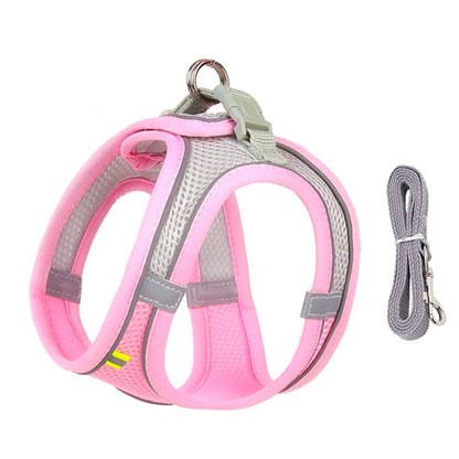 Harnais chien- CDDMPET Set Outdoor