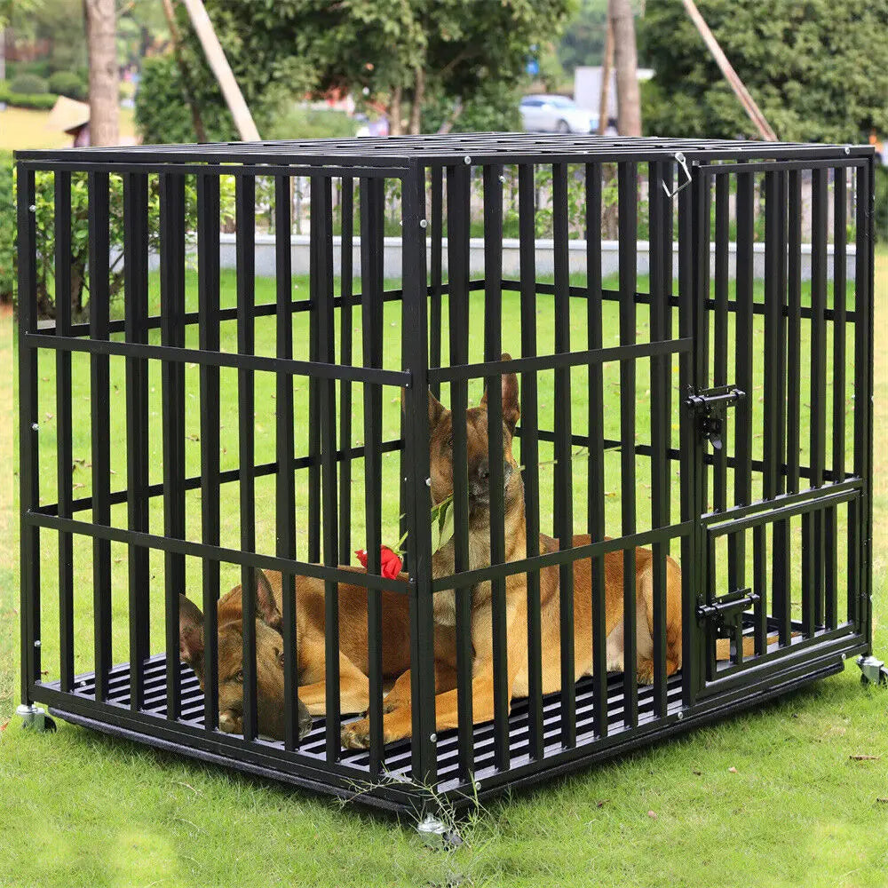Cage chien- 3 portes Roulante