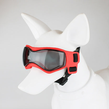 Lunettes pour chien | Protection UV Style