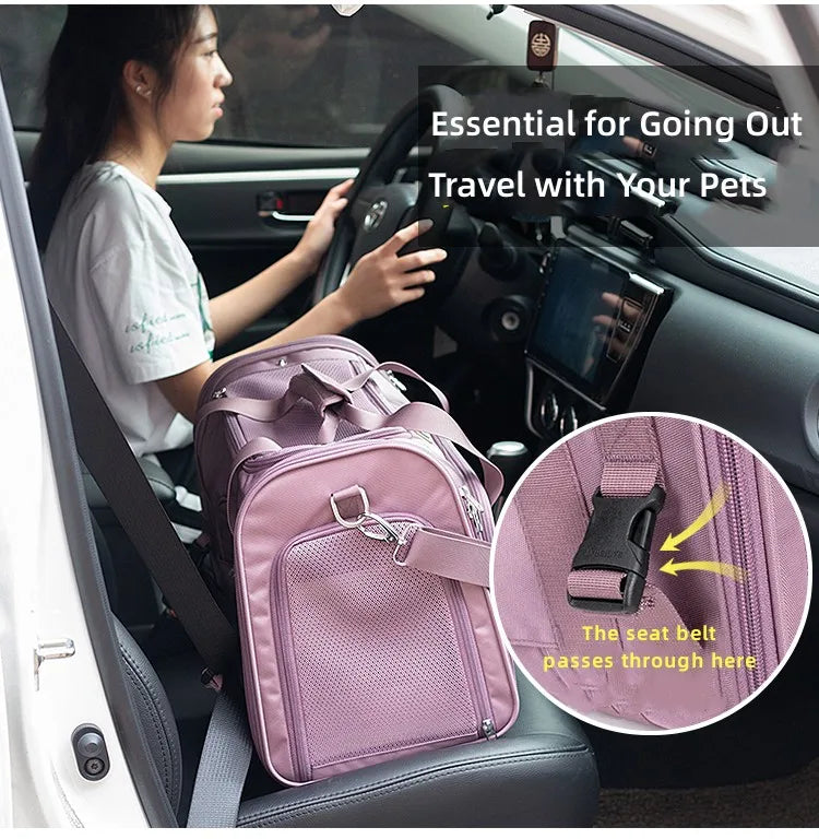 Sac de transport chien- Truelove caisse extensible