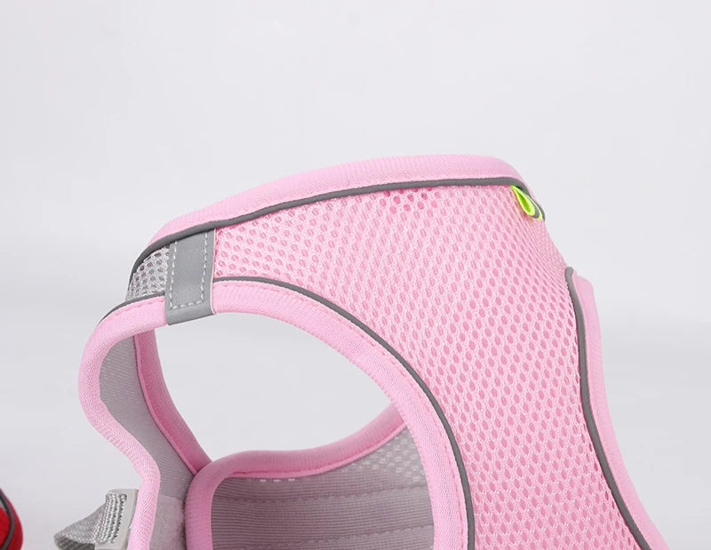 Harnais chien- CDDMPET Set Outdoor