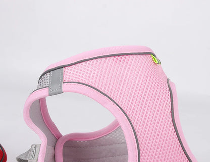 Harnais chien- CDDMPET Set Outdoor