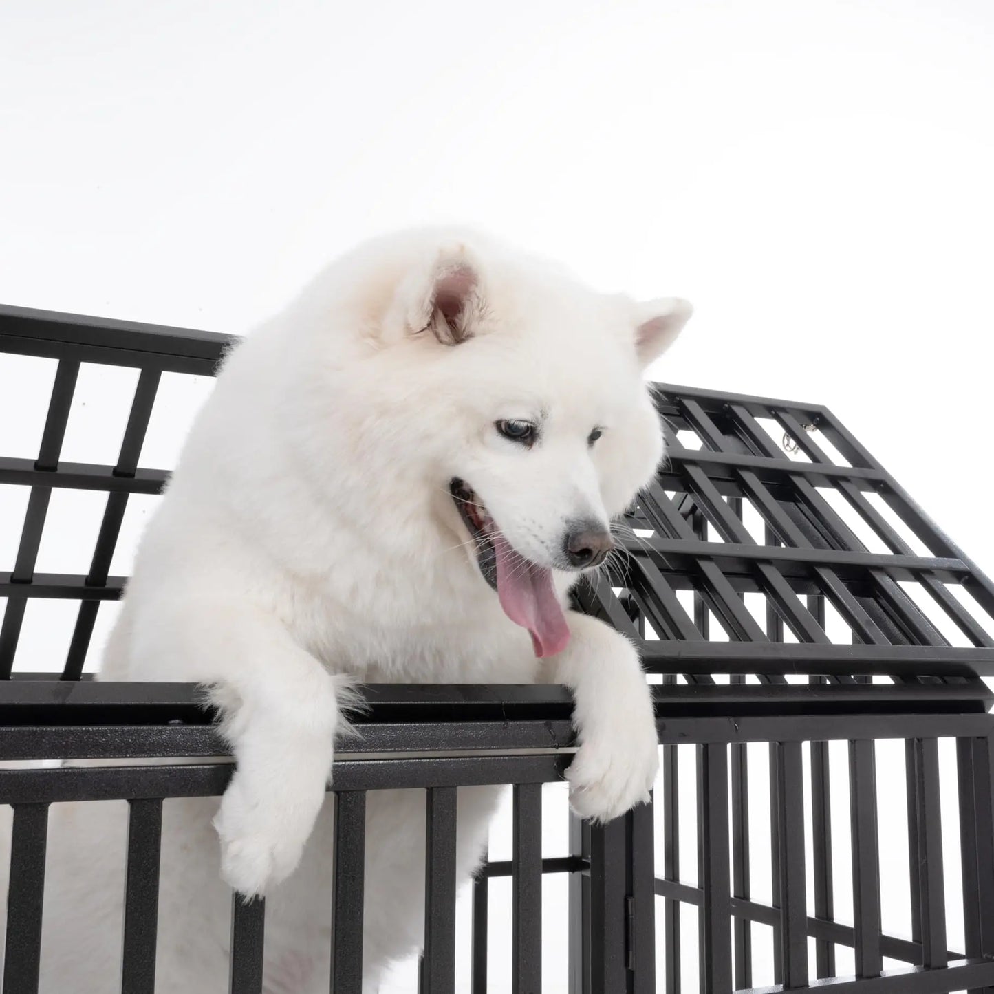 Cage chien Heavy-Duty Frame