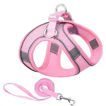 Harnais chiot | Comfort Secure