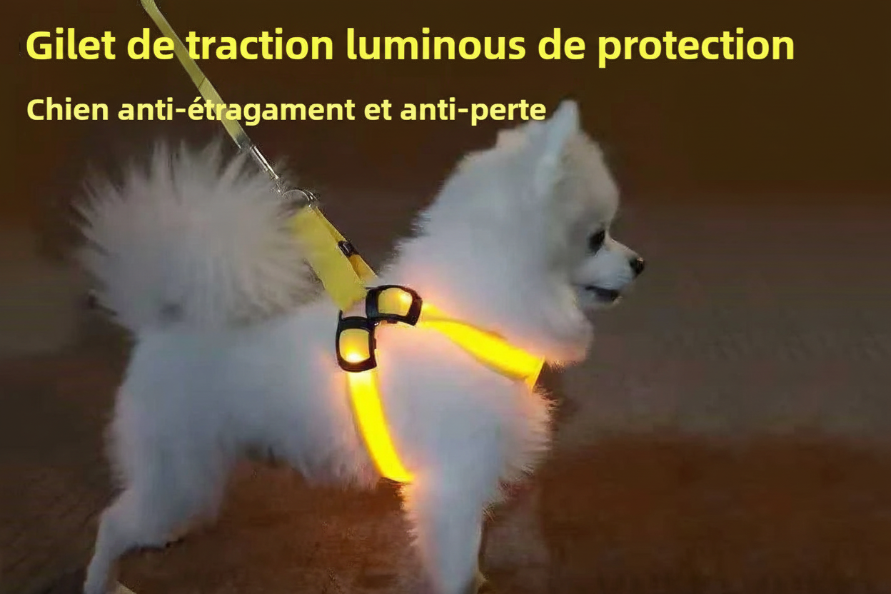 Harnais chien anti traction | Lumineux LED