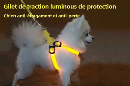 Harnais chien anti traction | Lumineux LED
