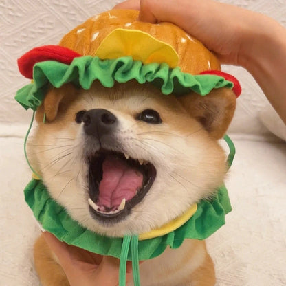 DEGUISEMENT CHIEN- Hamburger Collar