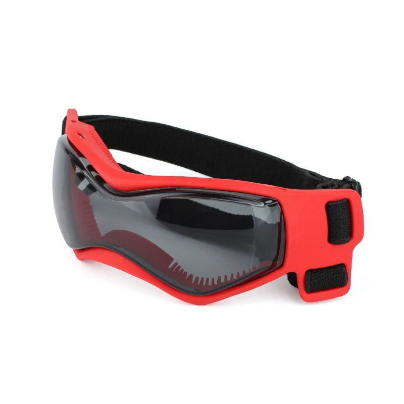 Lunettes pour chien | Protection UV Style