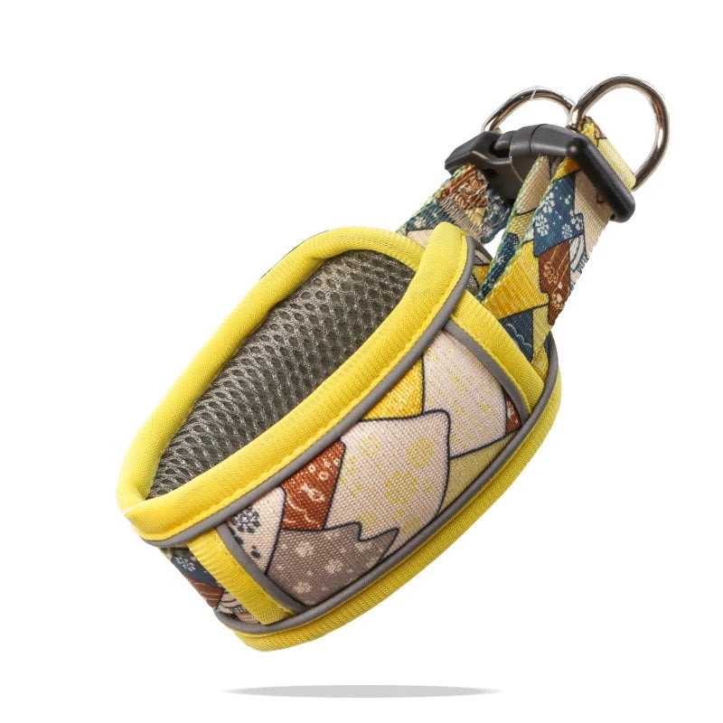 Collier de dressage pour chien- Confortable Extensible
