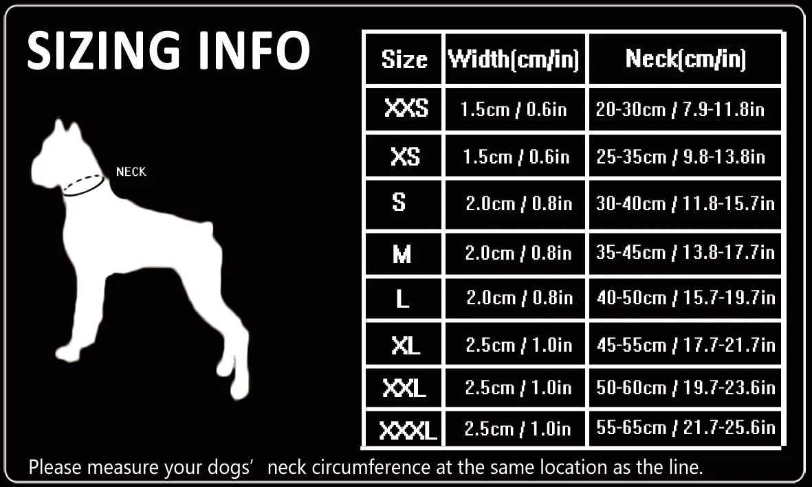 Collier de dressage pour chien- TRUELOVE P-chain