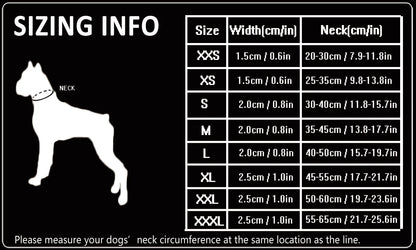 Collier de dressage pour chien- TRUELOVE P-chain