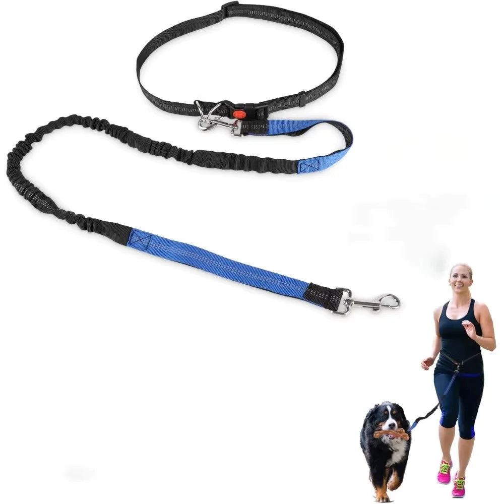 Longe chien-4.5M Strong  Reflective Leash