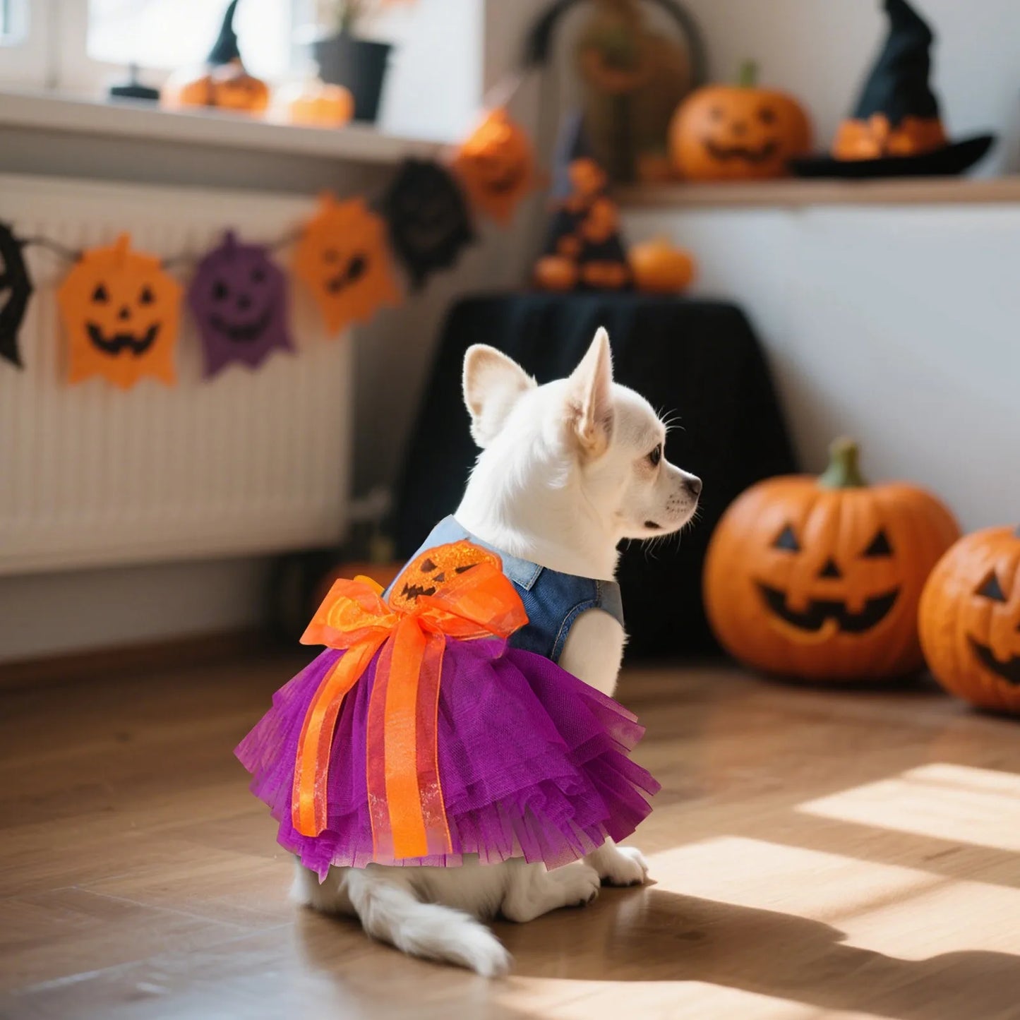 Robe pour chien | Halloween Festive