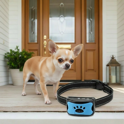 Collier de dressage pour chien- Vibration Anti Bark