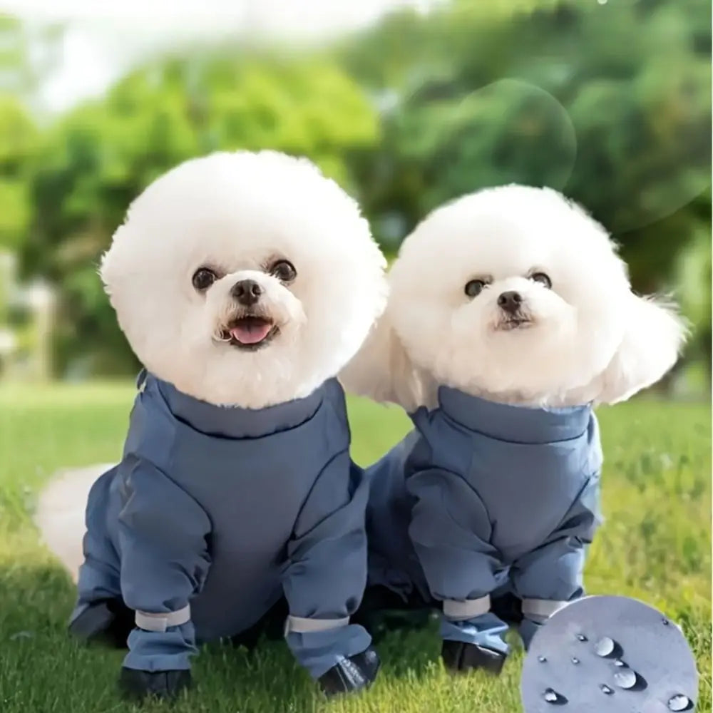 Bottes pour chien | TrekShield