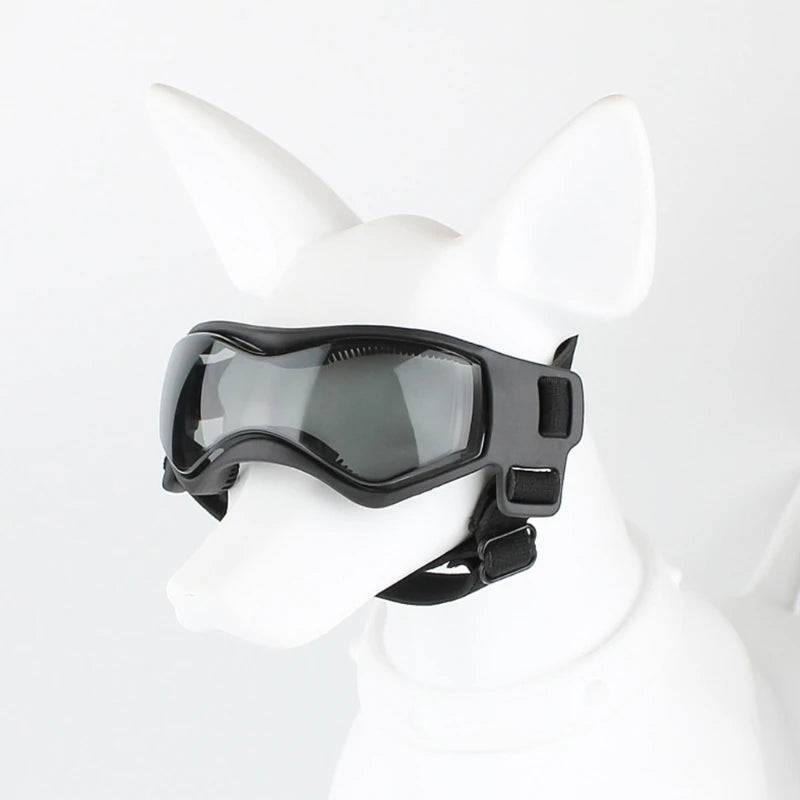Lunettes pour chien | Protection UV Style
