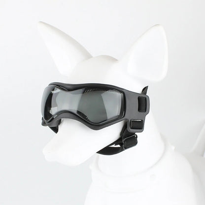 Lunettes pour chien | Protection UV Style