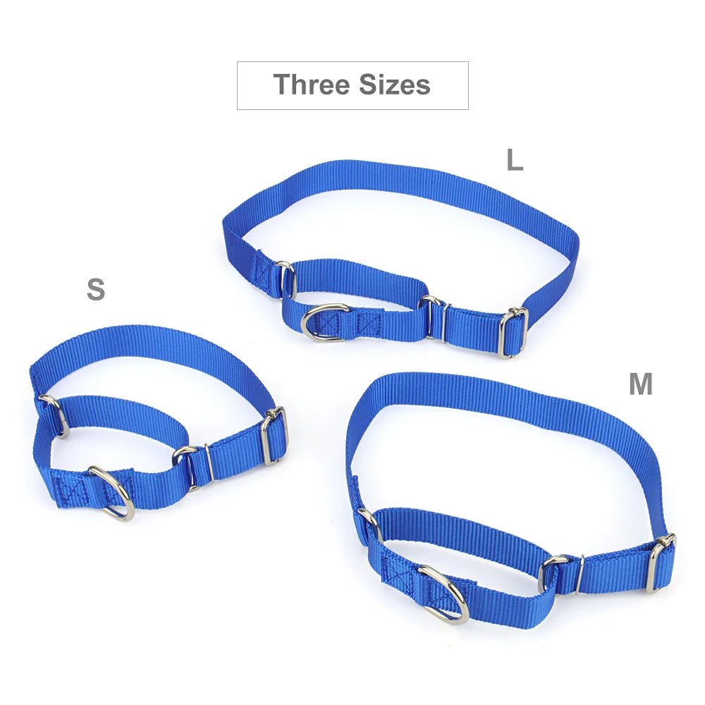 Collier de dressage pour chien- Martingale Plus