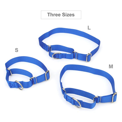 Collier de dressage pour chien- Martingale Plus