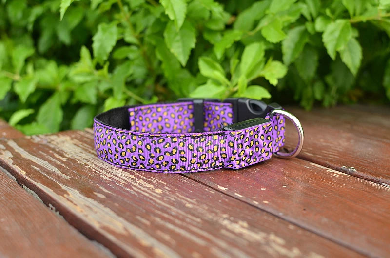 Collier chien lumineux-Léopard LED