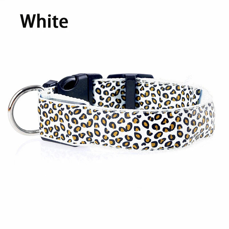 Collier chien lumineux-Léopard LED