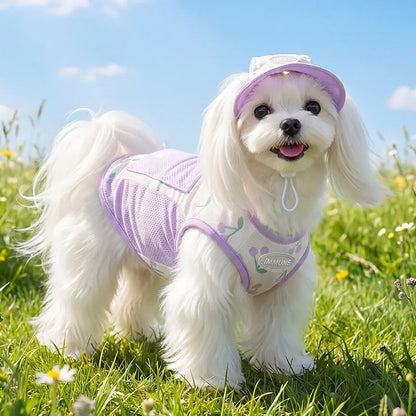 Vest pour chien | DUO Protection UV