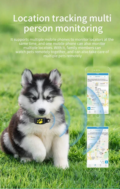 Collier GPS pour chien- Anti-Loss Real-Time Tracking