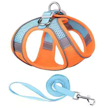 Harnais chiot | Comfort Secure