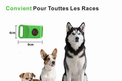 Collier anti puce chien | Naturel 45 jours