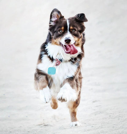 Collier gps pour chien-Mini Tracker Bluetooth Smart Locator