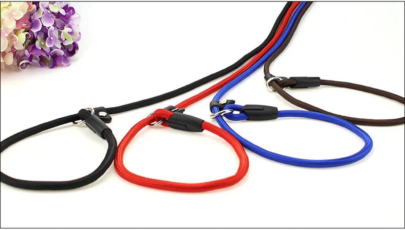 Laisse pour chien- Dog Strap Rope