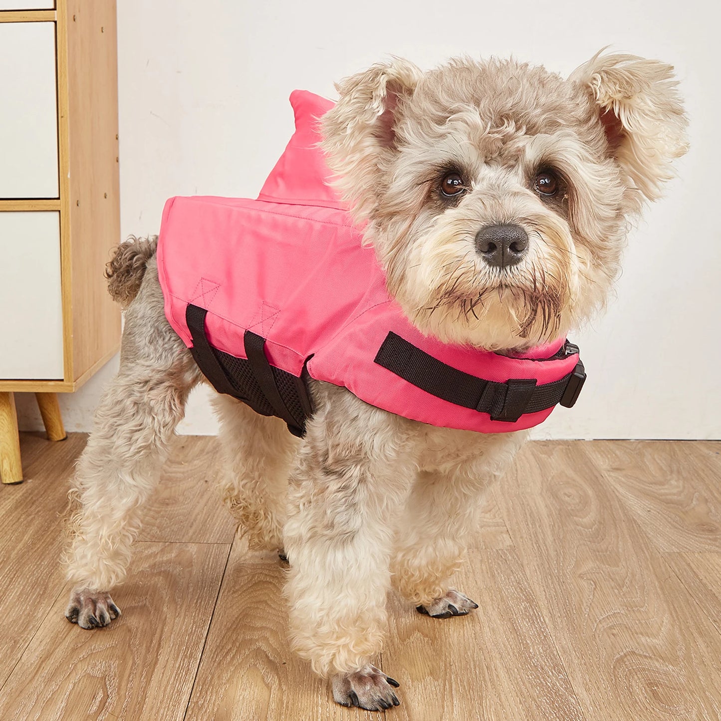 Gilet de sauvetage chien- Dogs Surfing