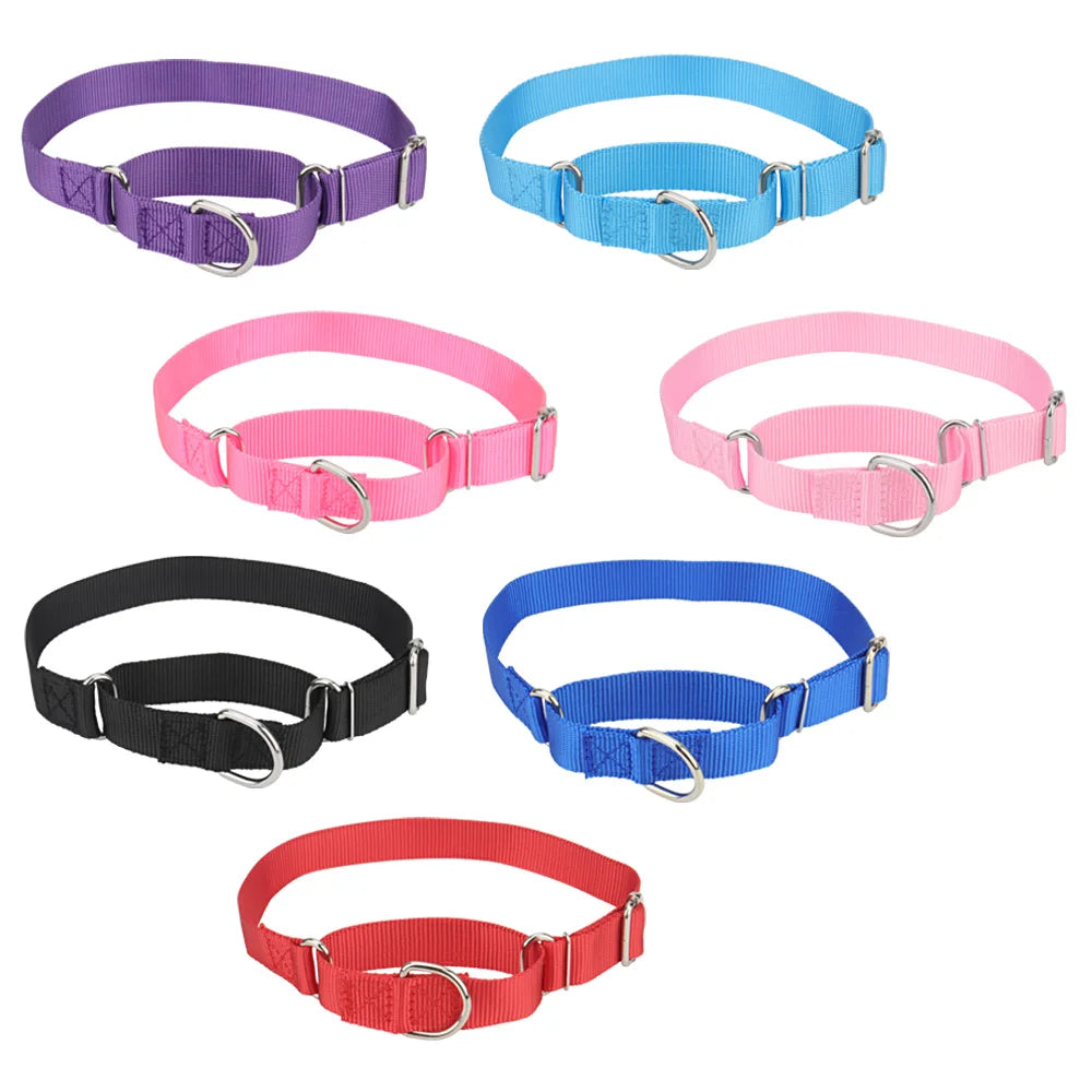 Collier de dressage pour chien- Martingale Plus