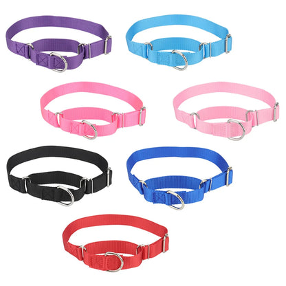 Collier de dressage pour chien- Martingale Plus