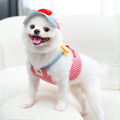 Harnais pour petit chien | Confort Premium