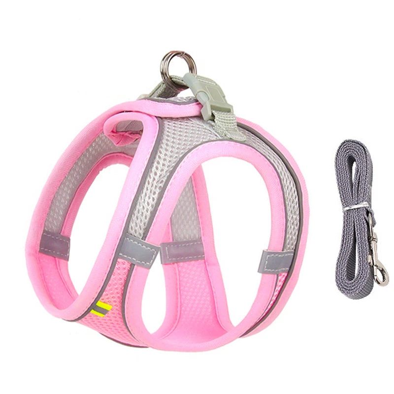 Harnais chien- CDDMPET Set Outdoor