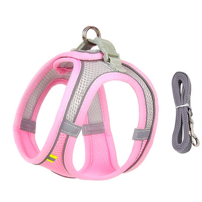 Harnais chien- CDDMPET Set Outdoor