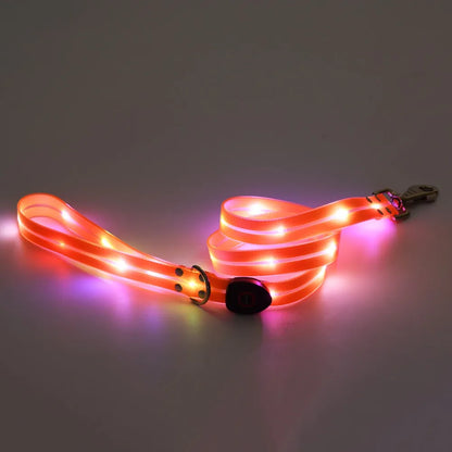Collier lumineux pour chien | NightGuard