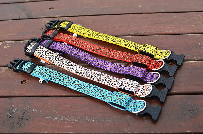 Collier chien lumineux-Léopard LED