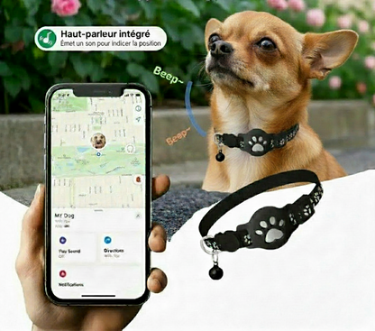 Collier GPS pour chien | PetTracker