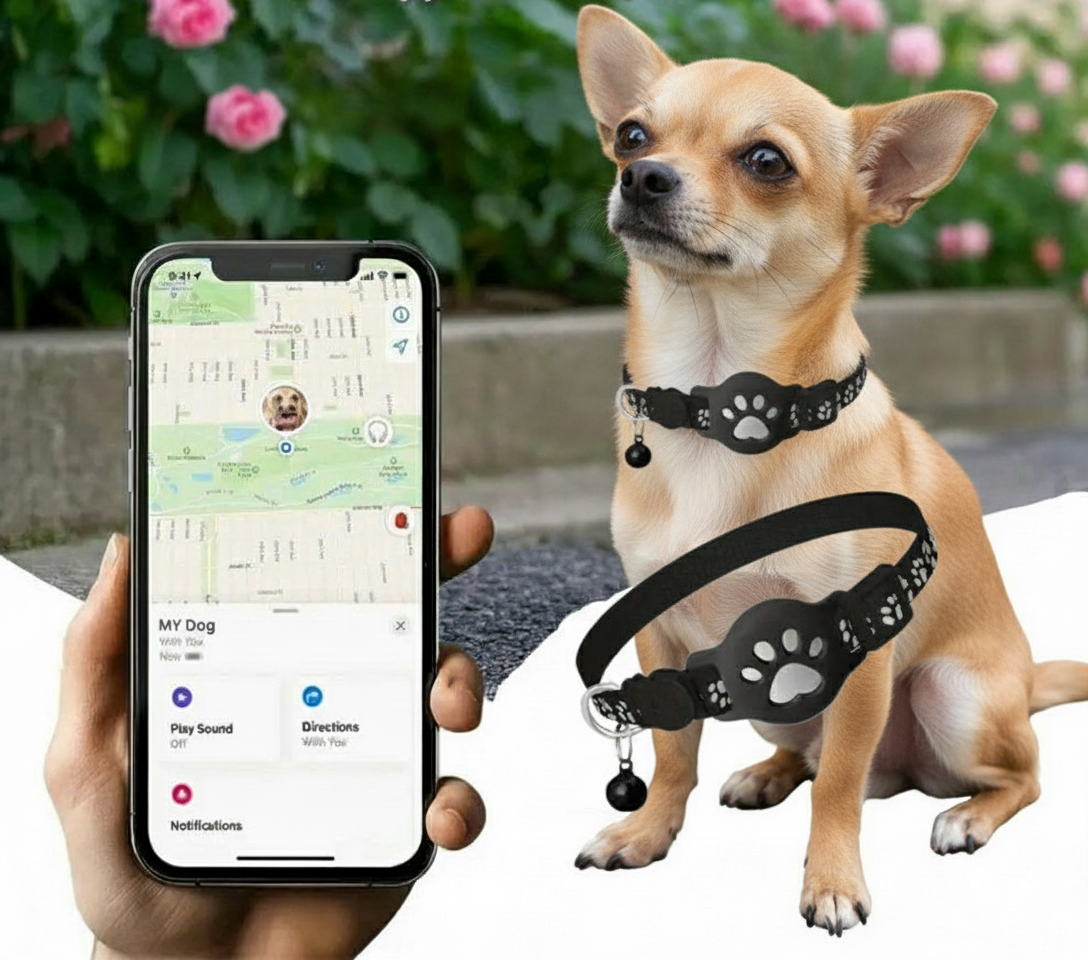 Collier GPS pour chien | PetTracker