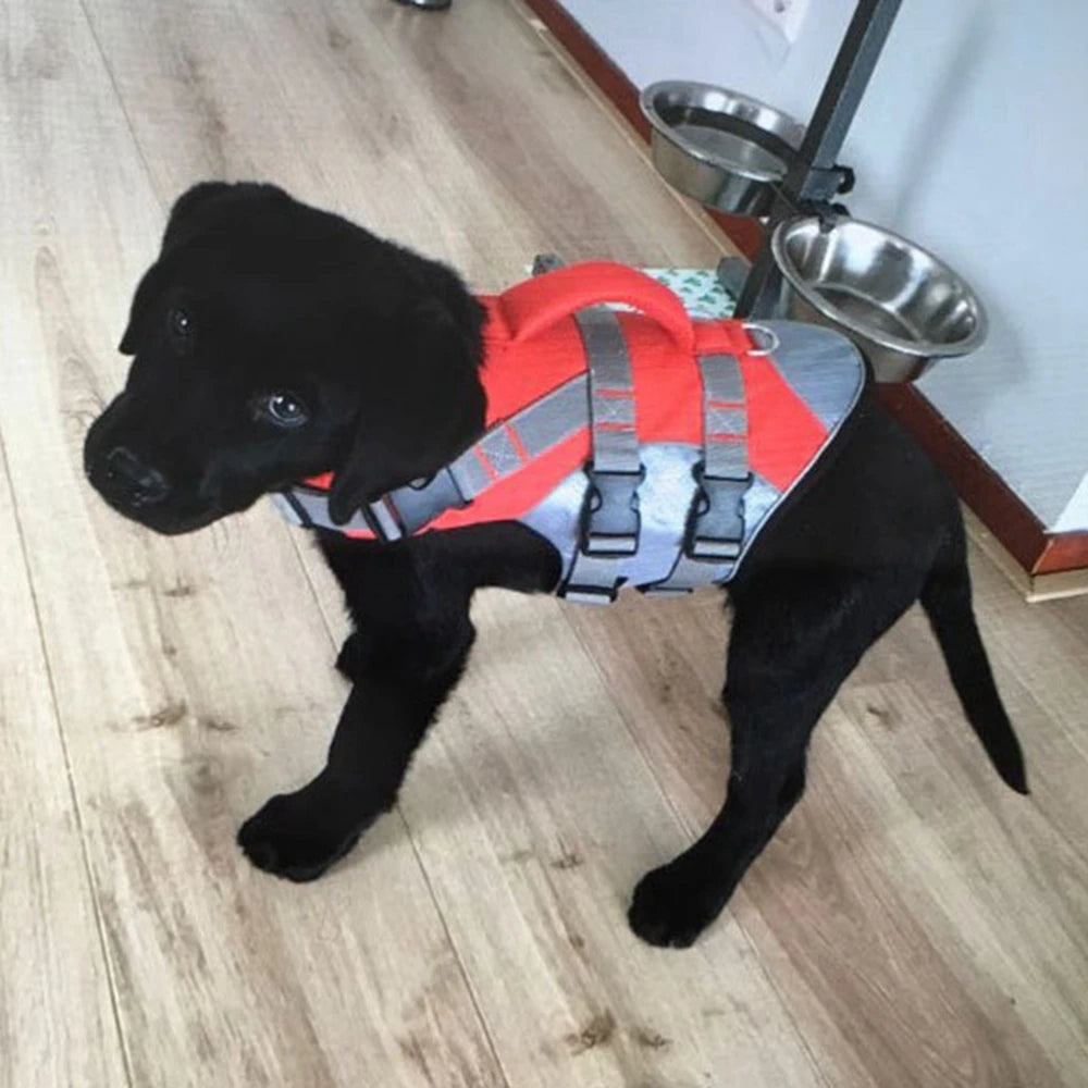 Gilet de sauvetage pour chien- Buoyancy