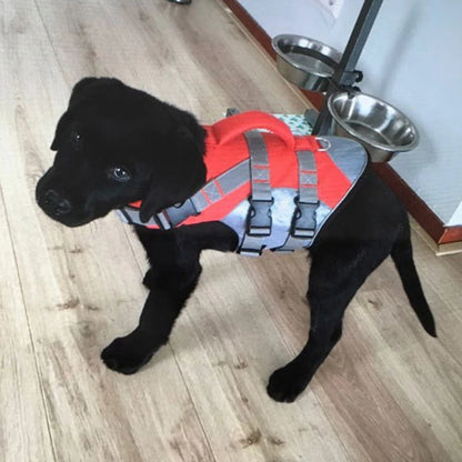 Gilet de sauvetage pour chien- Buoyancy