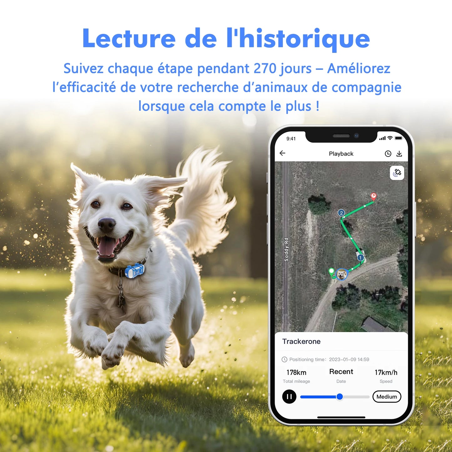 gps pour chien- Location anti perte