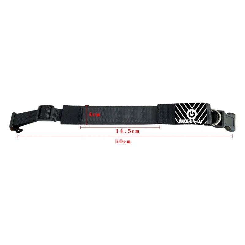 Chien collier lumineux | SafePet