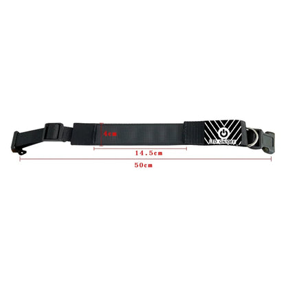 Chien collier lumineux | SafePet