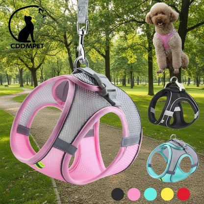 Harnais chien- CDDMPET Set Outdoor