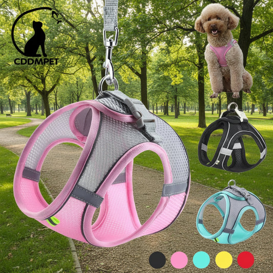 Harnais chien- CDDMPET Set Outdoor