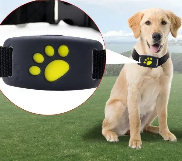 Collier GPS pour chien- Anti-Loss Real-Time Tracking