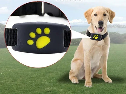 Collier GPS pour chien- Anti-Loss Real-Time Tracking